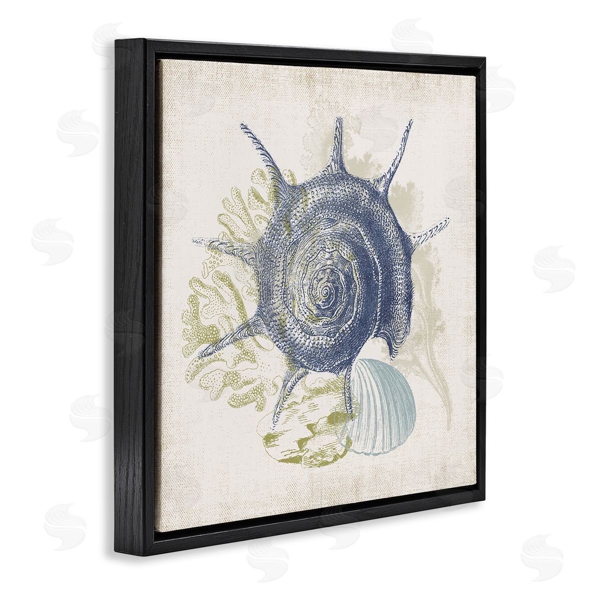 Victoria Barnes Intricate Conch Seashell Drawing Layered Coral Botanicals Black Floating Frame Canvas Wall Art Print