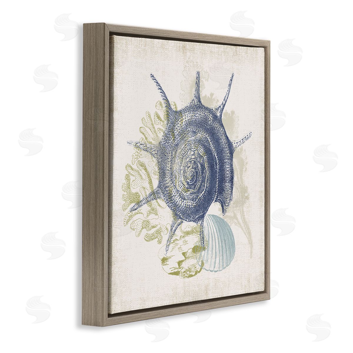 Victoria Barnes Intricate Conch Seashell Drawing Layered Coral Botanicals Brown Floating Frame Canvas Wall Art Print