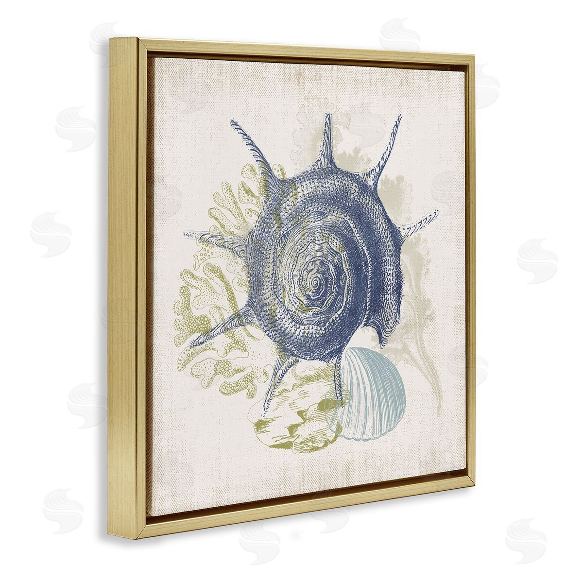 Victoria Barnes Intricate Conch Seashell Drawing Layered Coral Botanicals Gold Floating Frame Canvas Wall Art Print