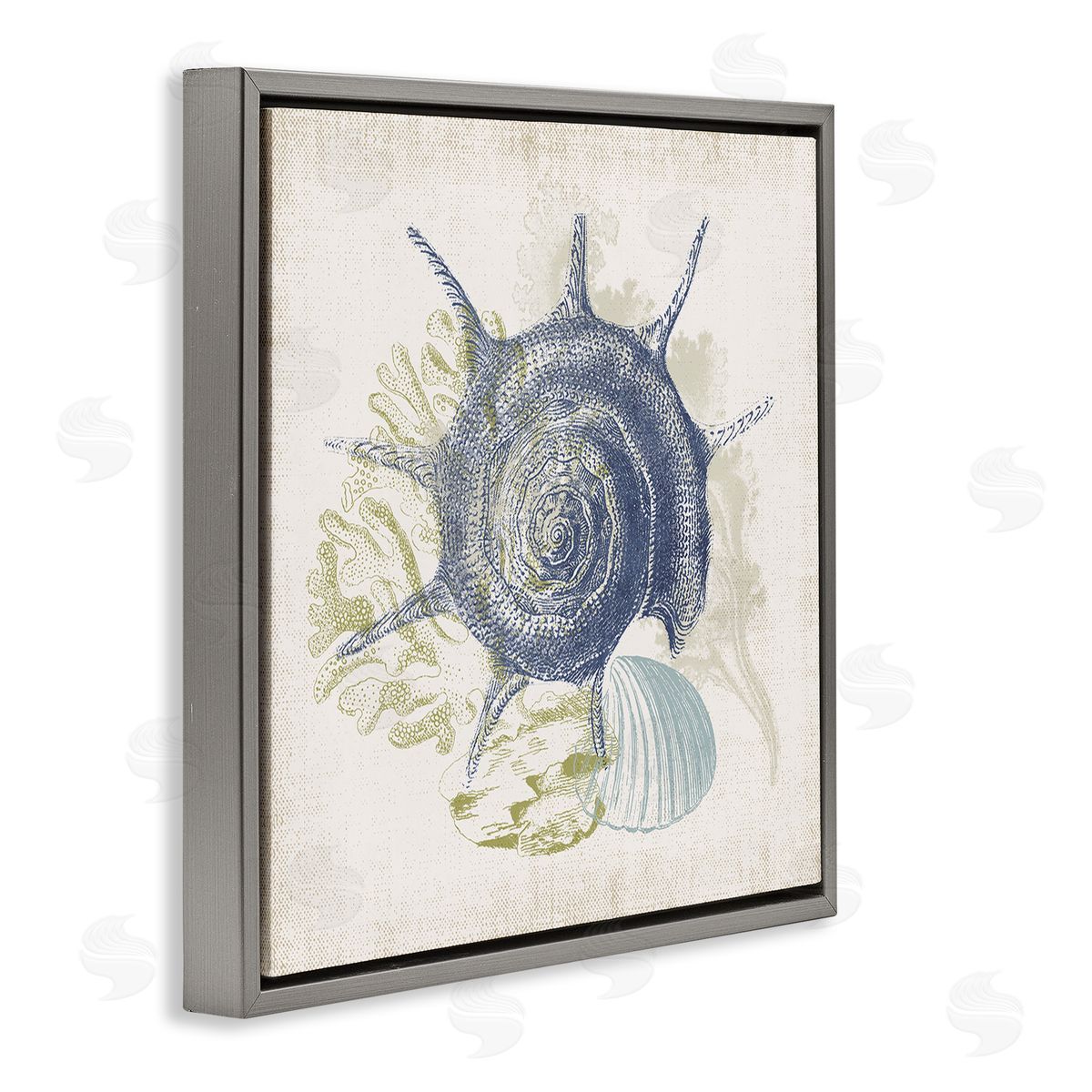 Victoria Barnes Intricate Conch Seashell Drawing Layered Coral Botanicals Gray Floating Frame Canvas Wall Art Print