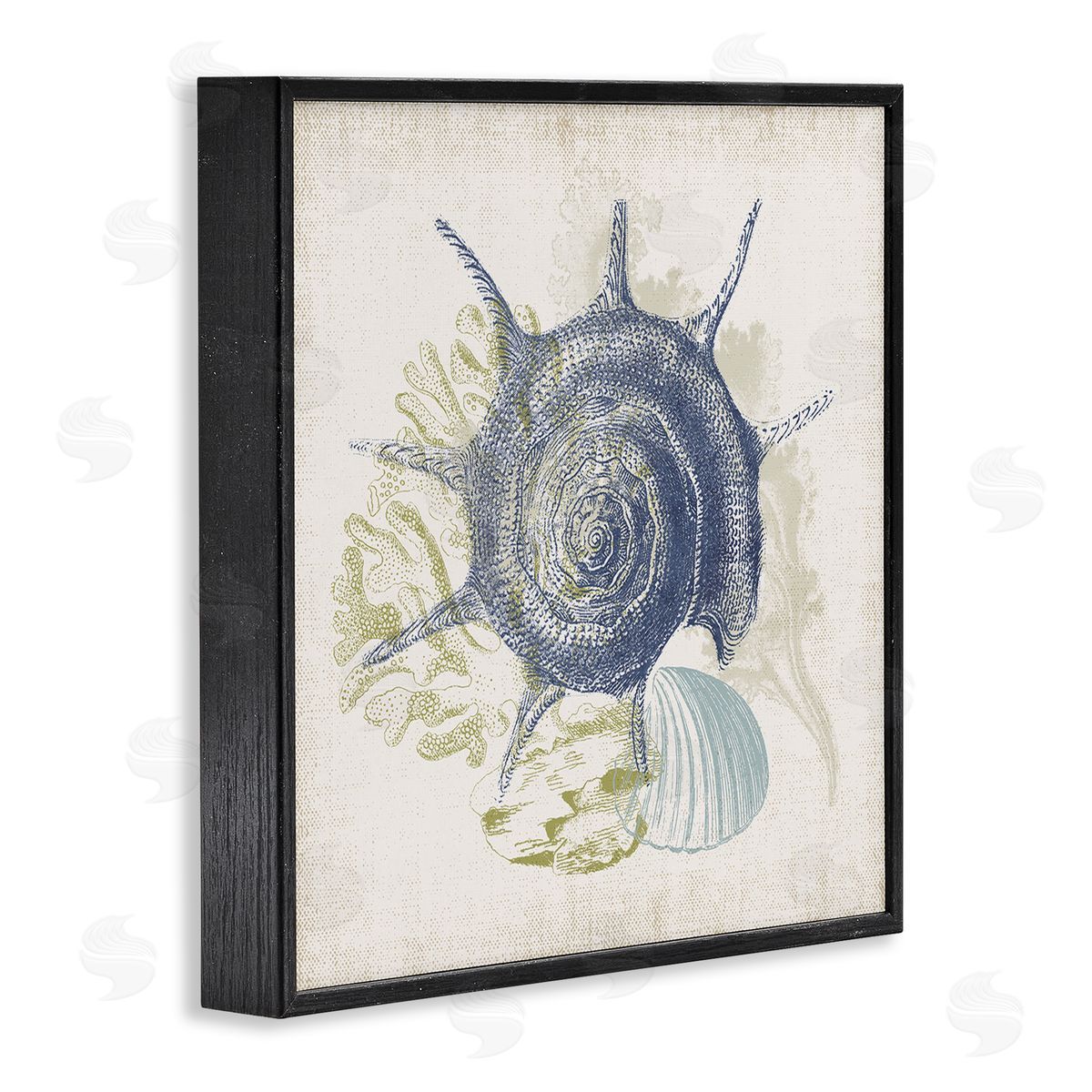 Victoria Barnes Intricate Conch Seashell Drawing Layered Coral Botanicals Black Framed Glicee Wall Art Print