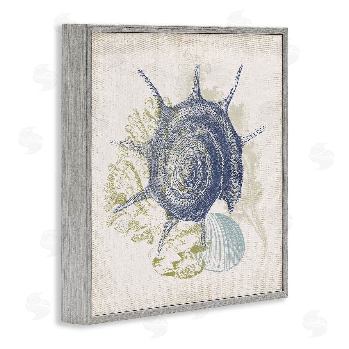 Victoria Barnes Intricate Conch Seashell Drawing Layered Coral Botanicals Gray Framed Glicee Wall Art Print