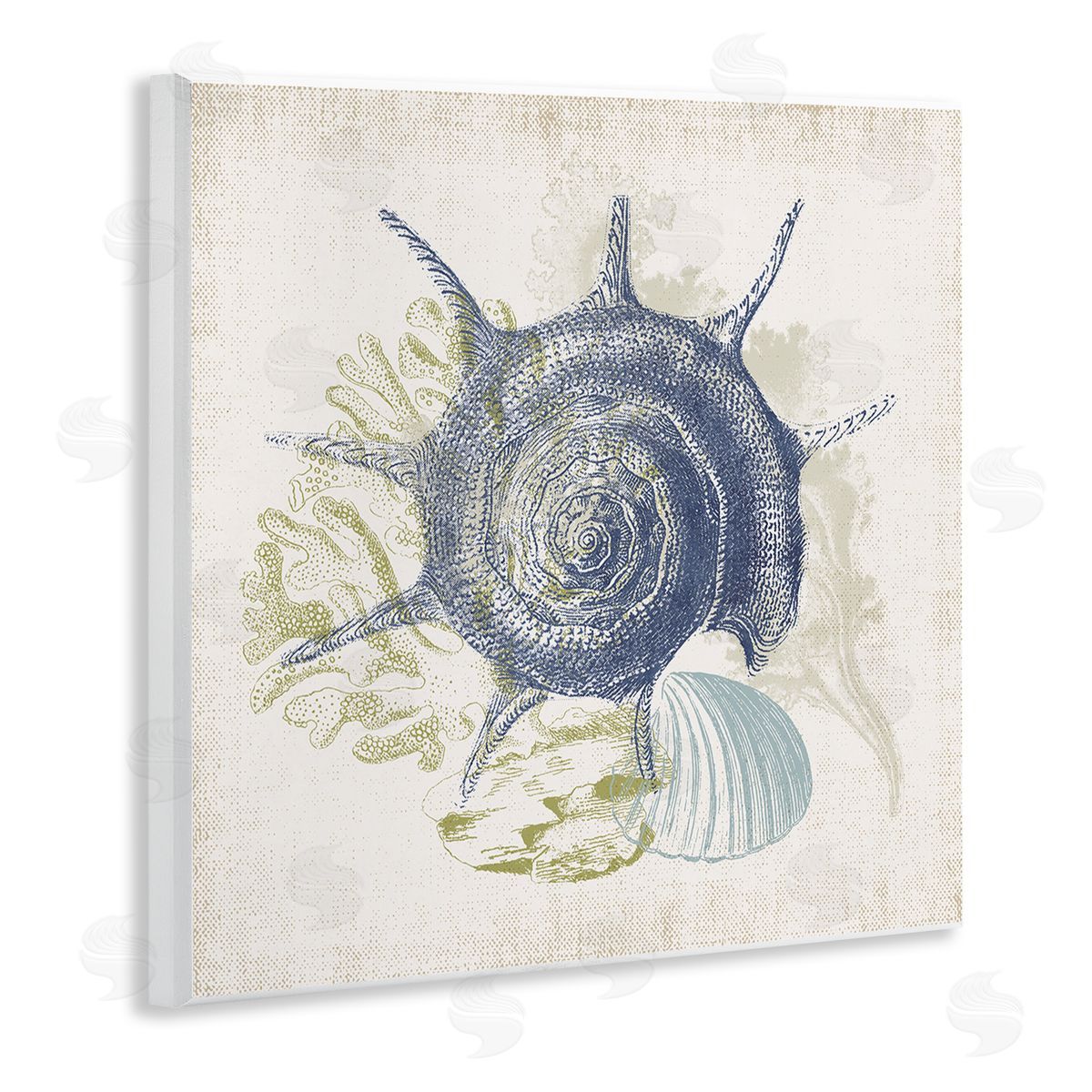 Victoria Barnes Intricate Conch Seashell Drawing Layered Coral Botanicals Wooden Wall Plaque Art Print