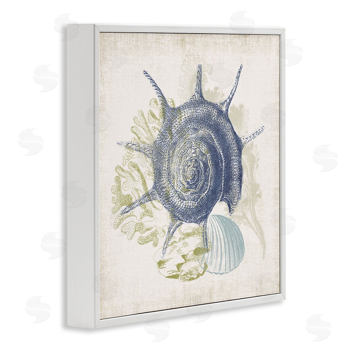 Victoria Barnes Intricate Conch Seashell Drawing Layered Coral Botanicals White Framed Glicee Wall Art Print