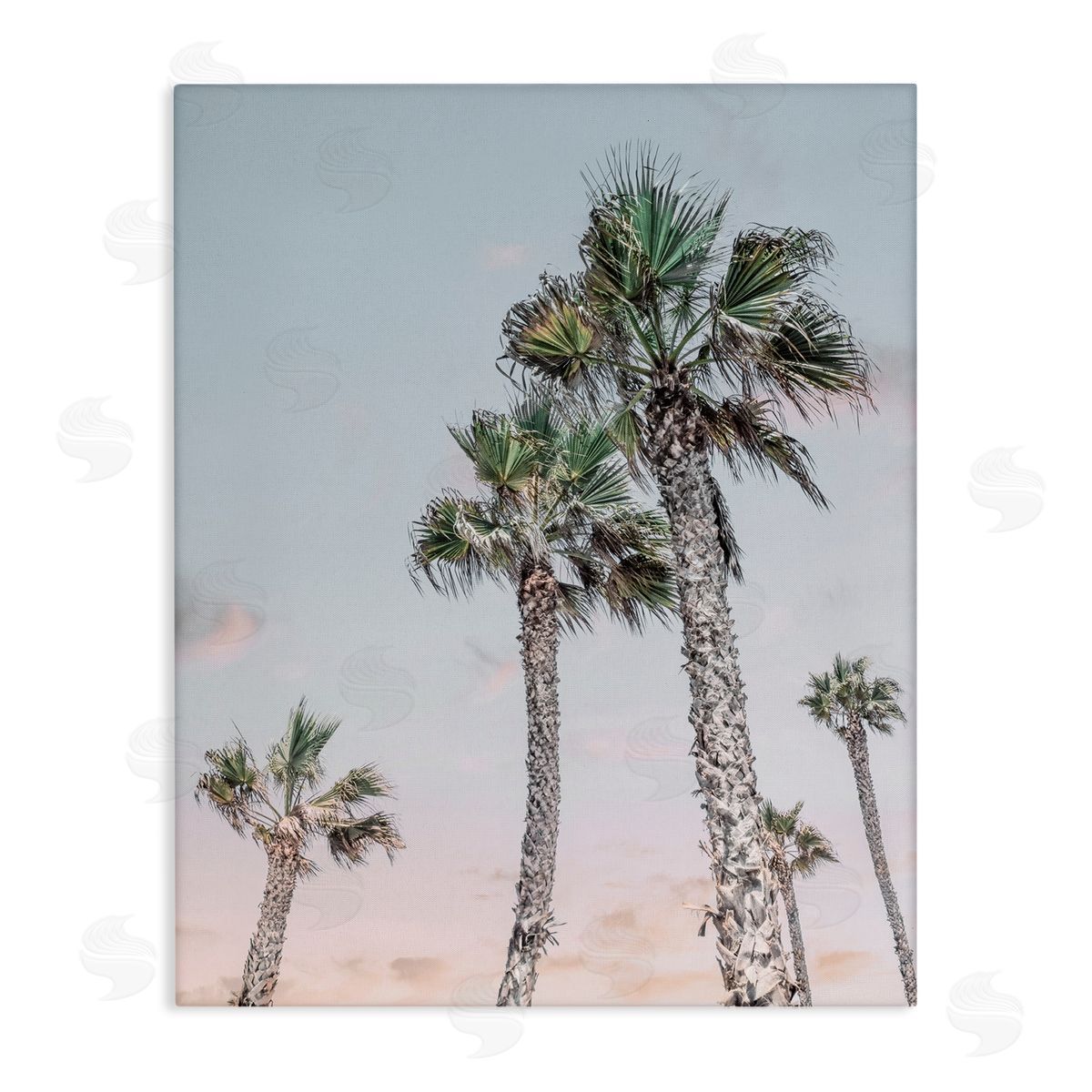 Natalie Carpentieri Tall Tropical Palm Trees Clear Sunset Sky Stretched Canvas Wall Art Print