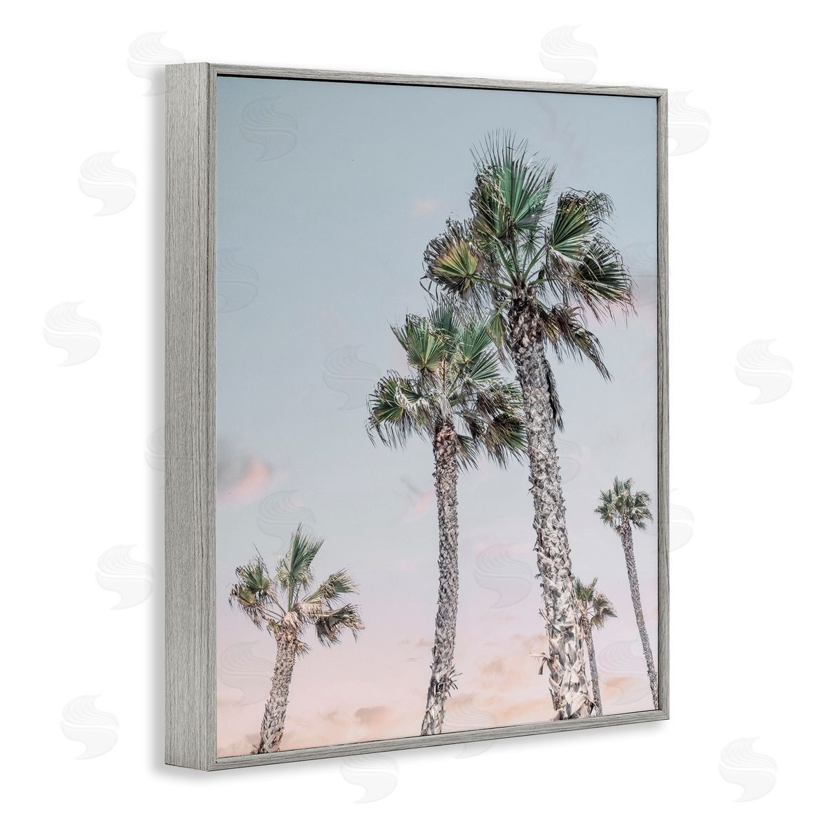 Natalie Carpentieri Tall Tropical Palm Trees Clear Sunset Sky Gray Framed Giclee Wall Art Print