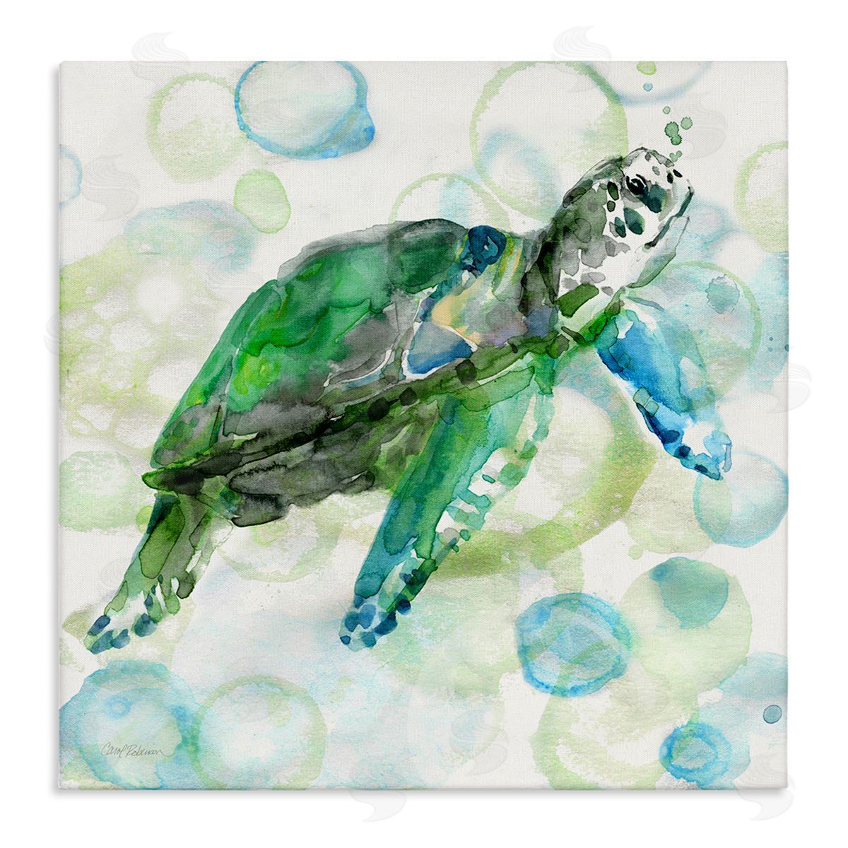 Carol Robinson Aquatic Sea Turtle Water Bubbles Watercolor Detail Stretched Canvas Wall Art Print