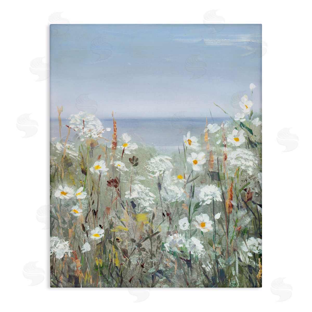 Sally Swatland Spring Daisy Flower Blooms Beachside Ocean View Stretched Canvas Wall Art Print