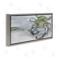 Stacy Gresell | Vivid Crab on Beach Shoreline