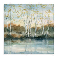 Carol Robinson | Quaint Birch Tree Reflections