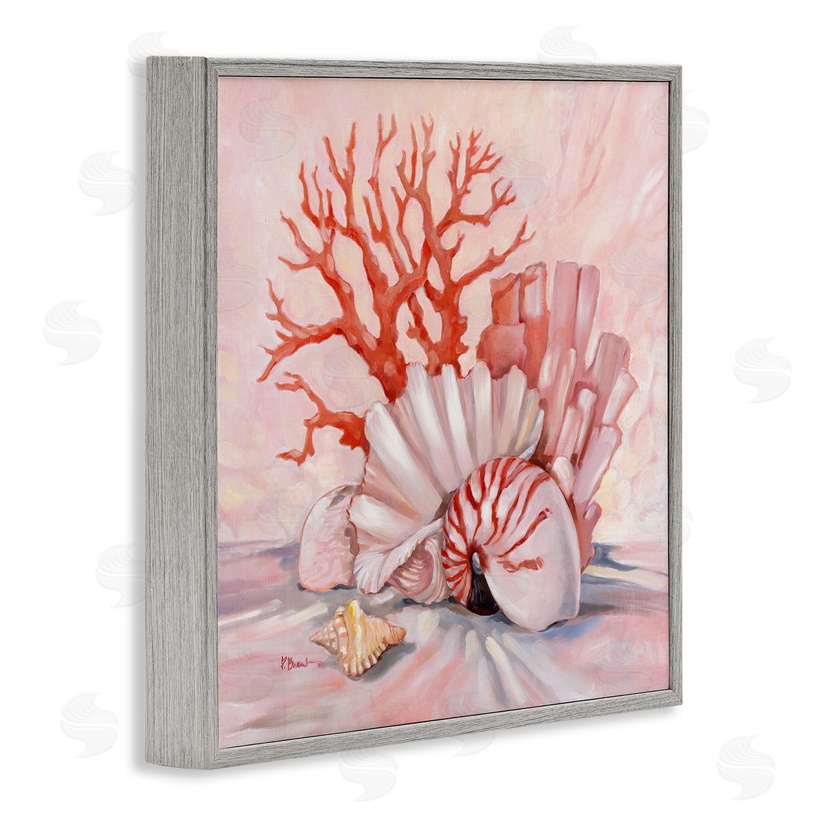Paul Brent Coral Still Life Aquatic Seashells Gray Framed Glicee Wall Art Print