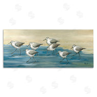 Paul Brent | Sandpiper Bird Flock Beach Shoreline