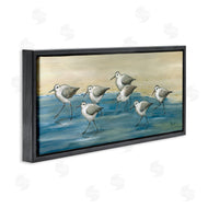 Paul Brent | Sandpiper Bird Flock Beach Shoreline