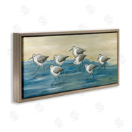 Paul Brent | Sandpiper Bird Flock Beach Shoreline