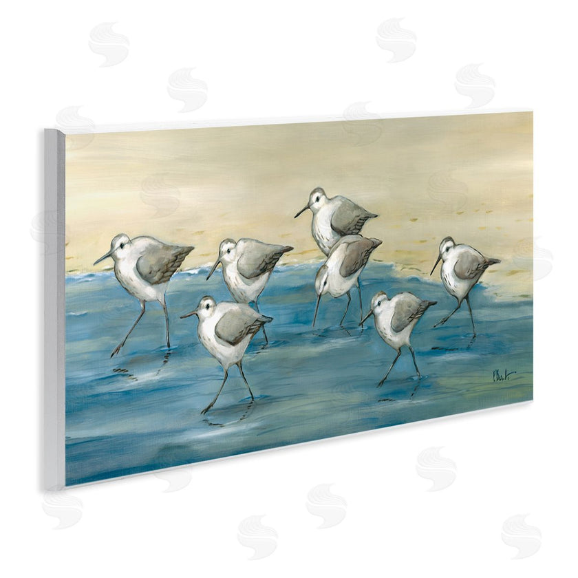 Paul Brent | Sandpiper Bird Flock Beach Shoreline