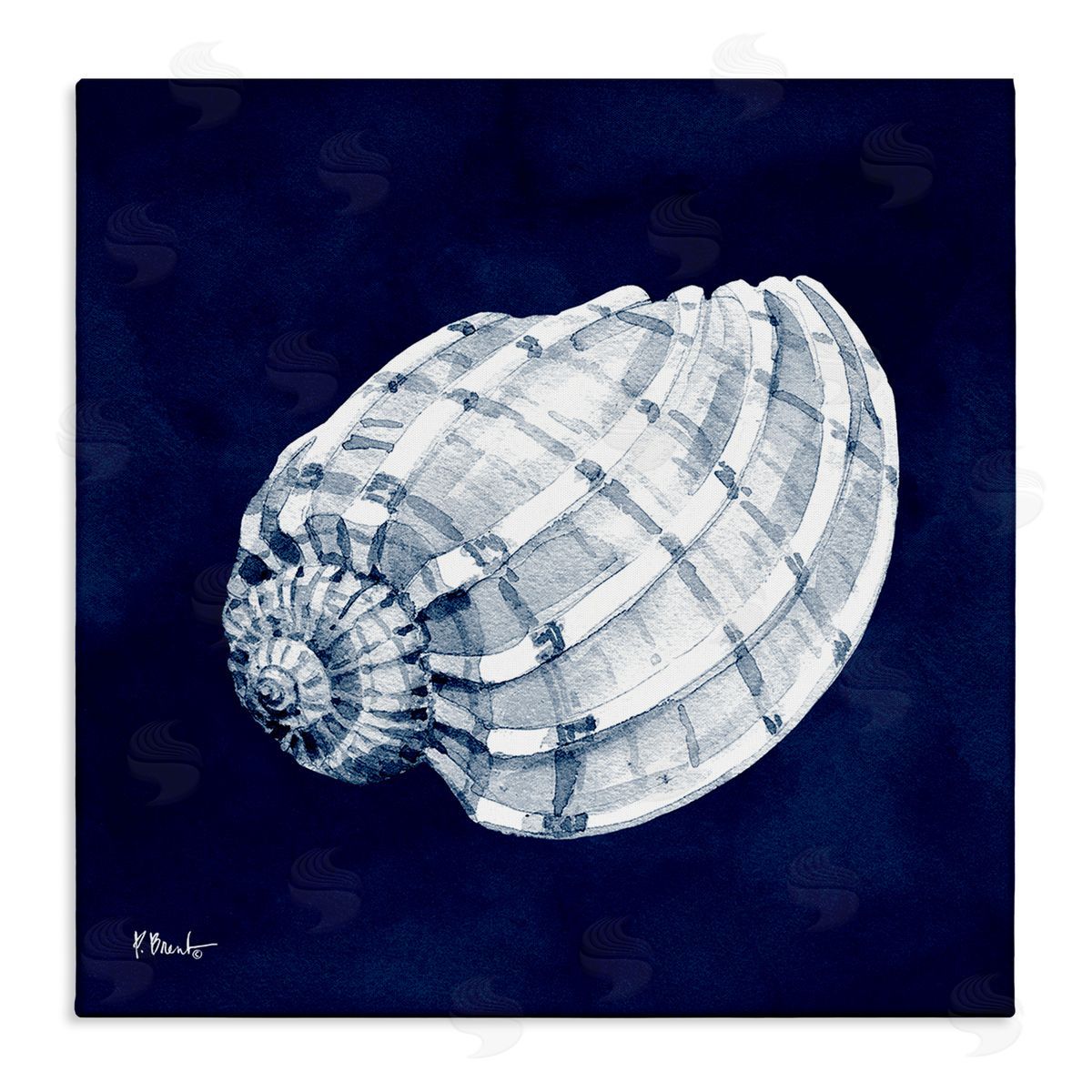 Paul Brent Cyanotype Shells Coastal Illustration Stretched Canvas Wall Art Print