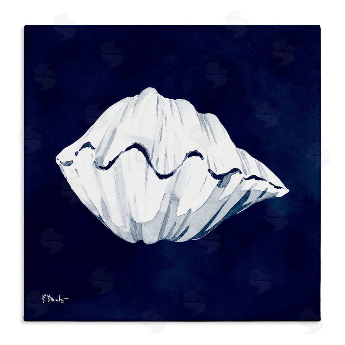 Paul Brent Cyanotype Shells Coastal Clam Stretched Canvas Wall Art Print