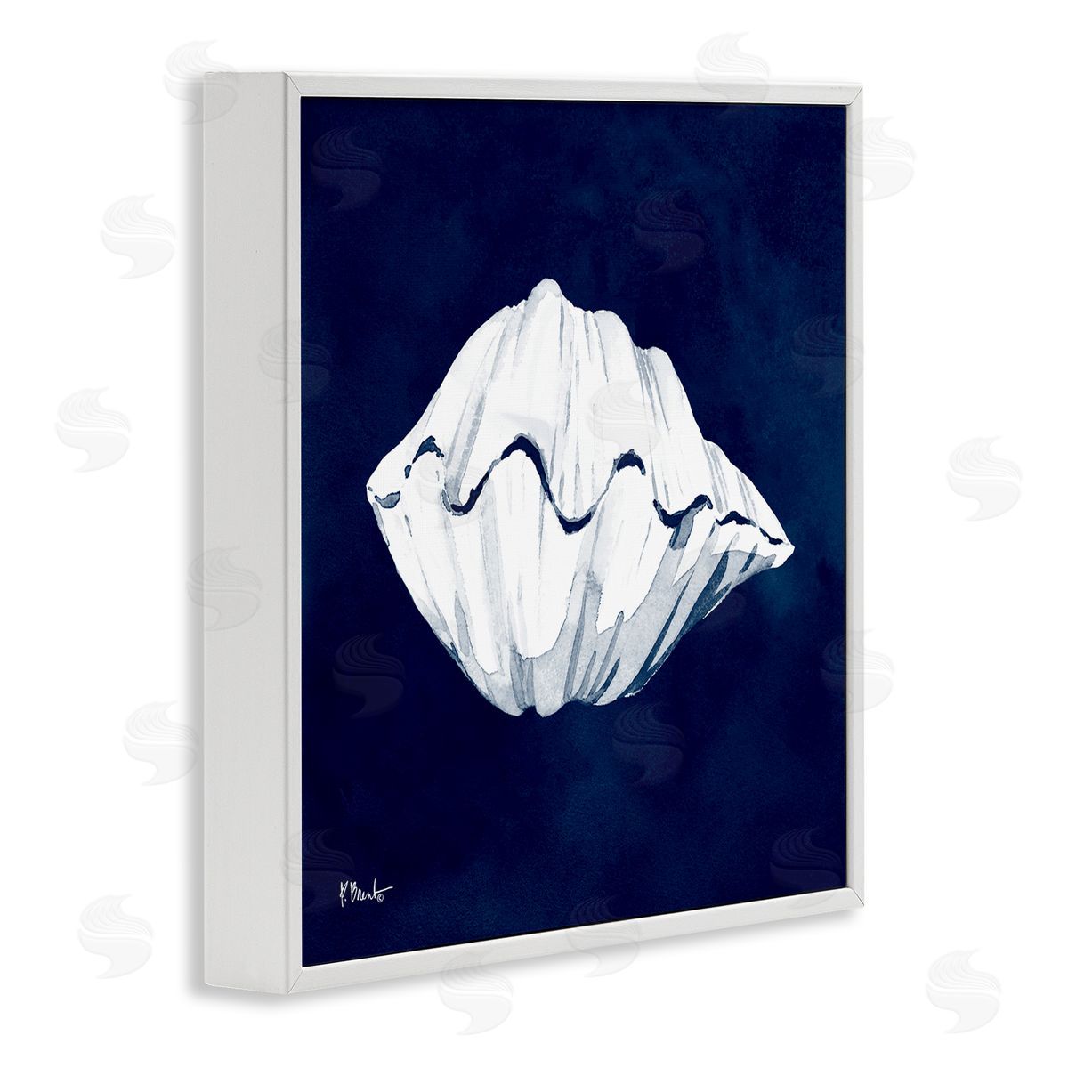 Paul Brent Cyanotype Shells Coastal Clam White Framed Glicee Wall Art Print