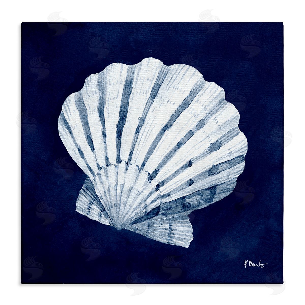 Paul Brent Cyanotype Shells Traditional Scallop Stretched Canvas Wall Art Print