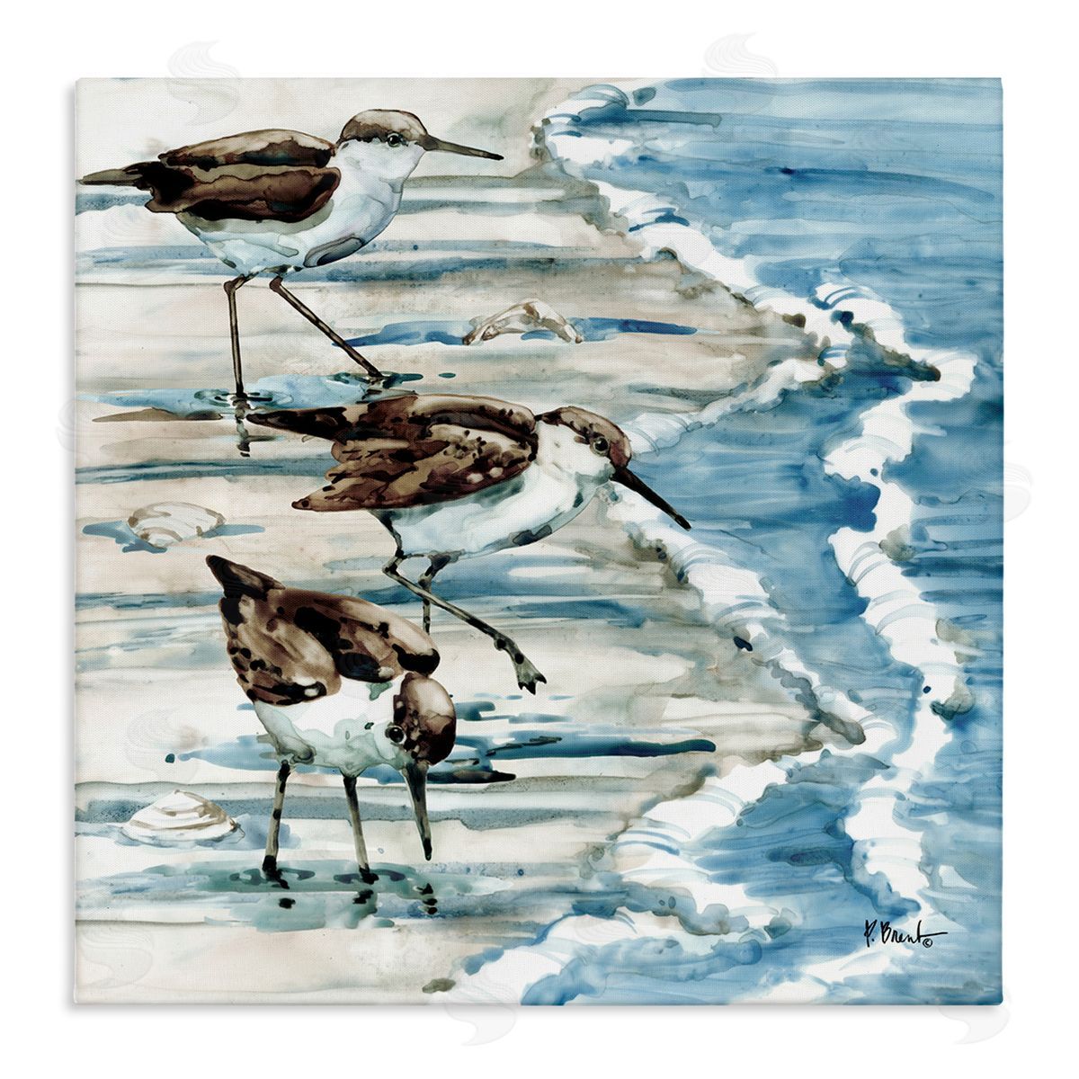 Rockhampton Sandpipers Beach Ripples Canvas Wall Art, Home Decor by Paul Brent