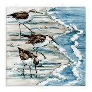 Paul Brent | Rockhampton Sandpipers Beach Ripples