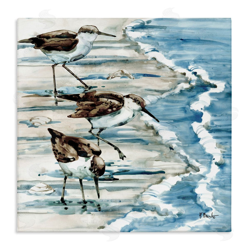 Paul Brent | Rockhampton Sandpipers Beach Ripples
