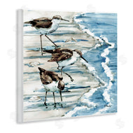 Paul Brent | Rockhampton Sandpipers Beach Ripples
