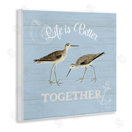 Katie Pertiet | Better Together Coastal Sandpipers