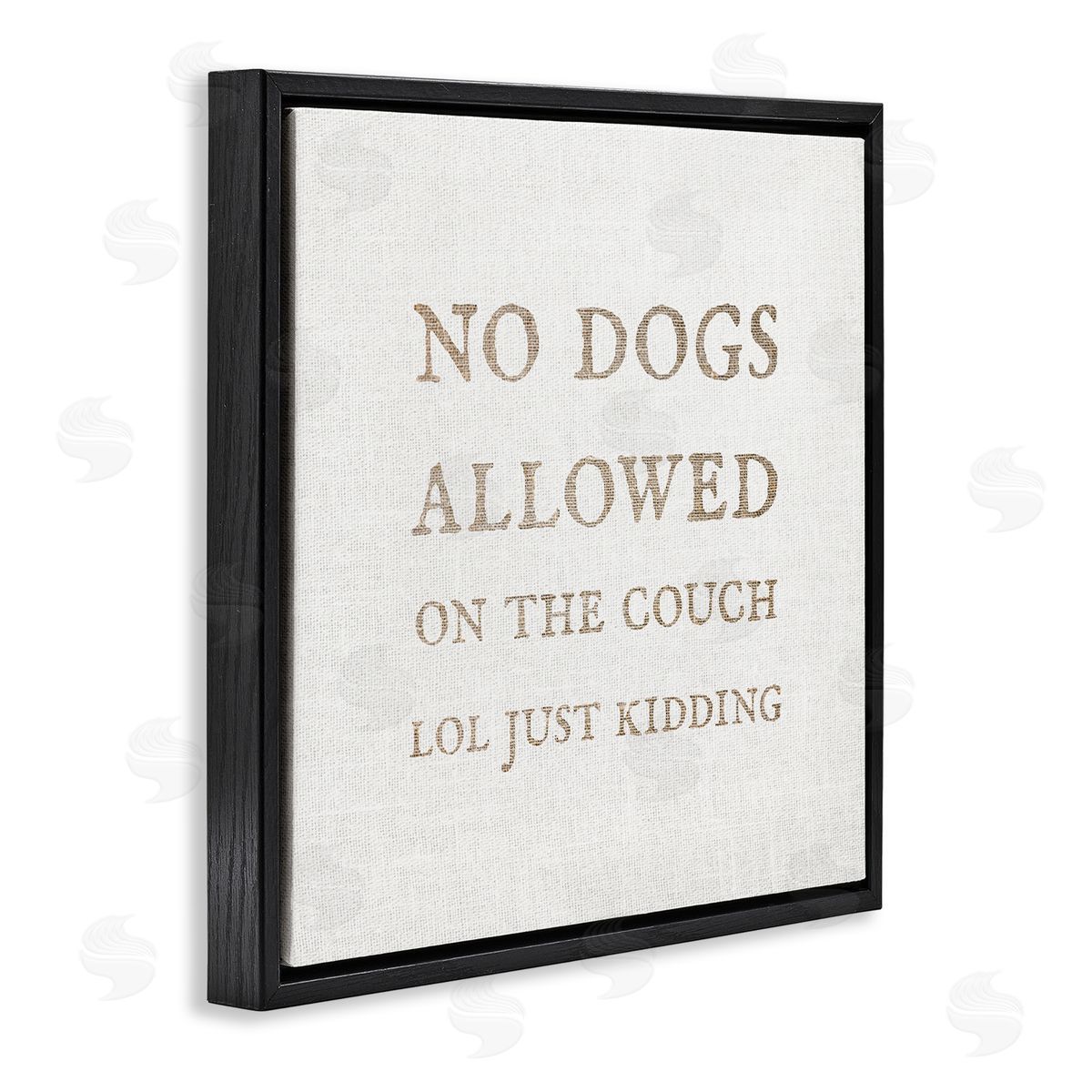 Stupell Studio No Dogs Allowed Pet Humor Black Floating Frame Canvas Wall Art Print