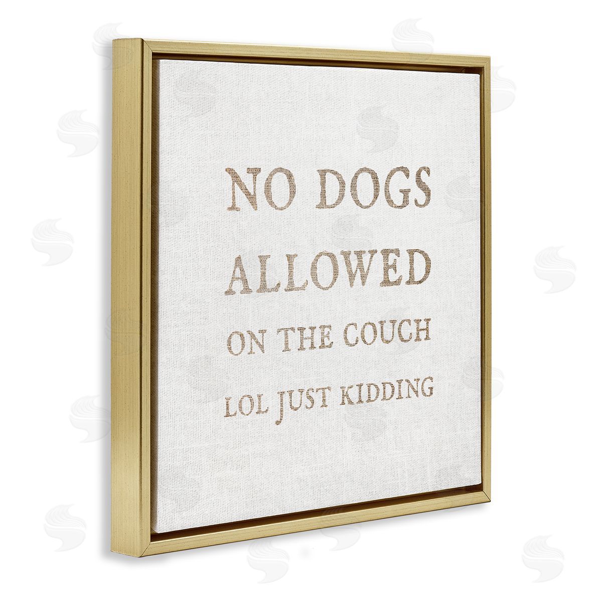 Stupell Studio No Dogs Allowed Pet Humor Gold Floating Frame Canvas Wall Art Print