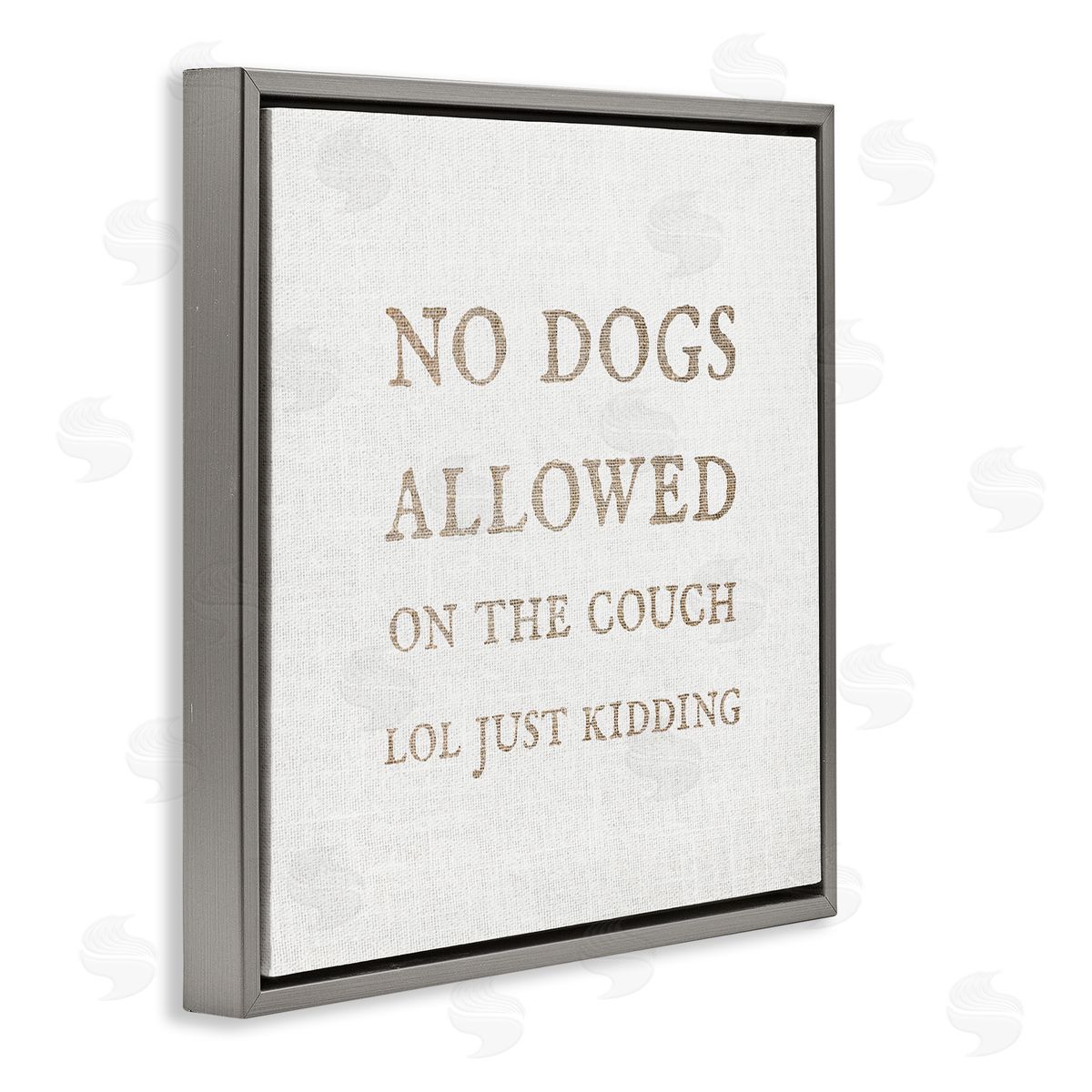 Stupell Studio No Dogs Allowed Pet Humor Gray Floating Frame Canvas Wall Art Print
