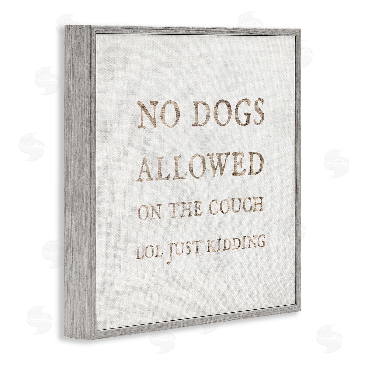 Stupell Studio No Dogs Allowed Pet Humor Gray Framed Glicee Wall Art Print