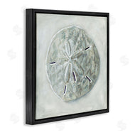 Erica Christopher | Grey Sand Dollar Seashell