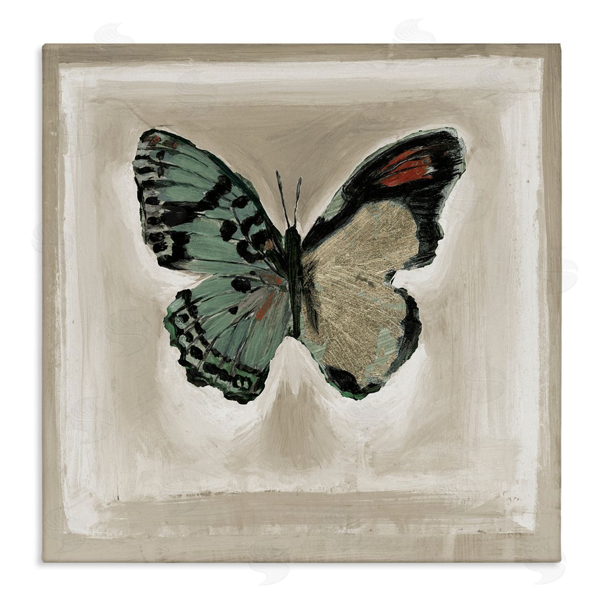 Stacy D'Aguiar Asymmetrical Butterfly Wings Stretched Canvas Wall Art Print