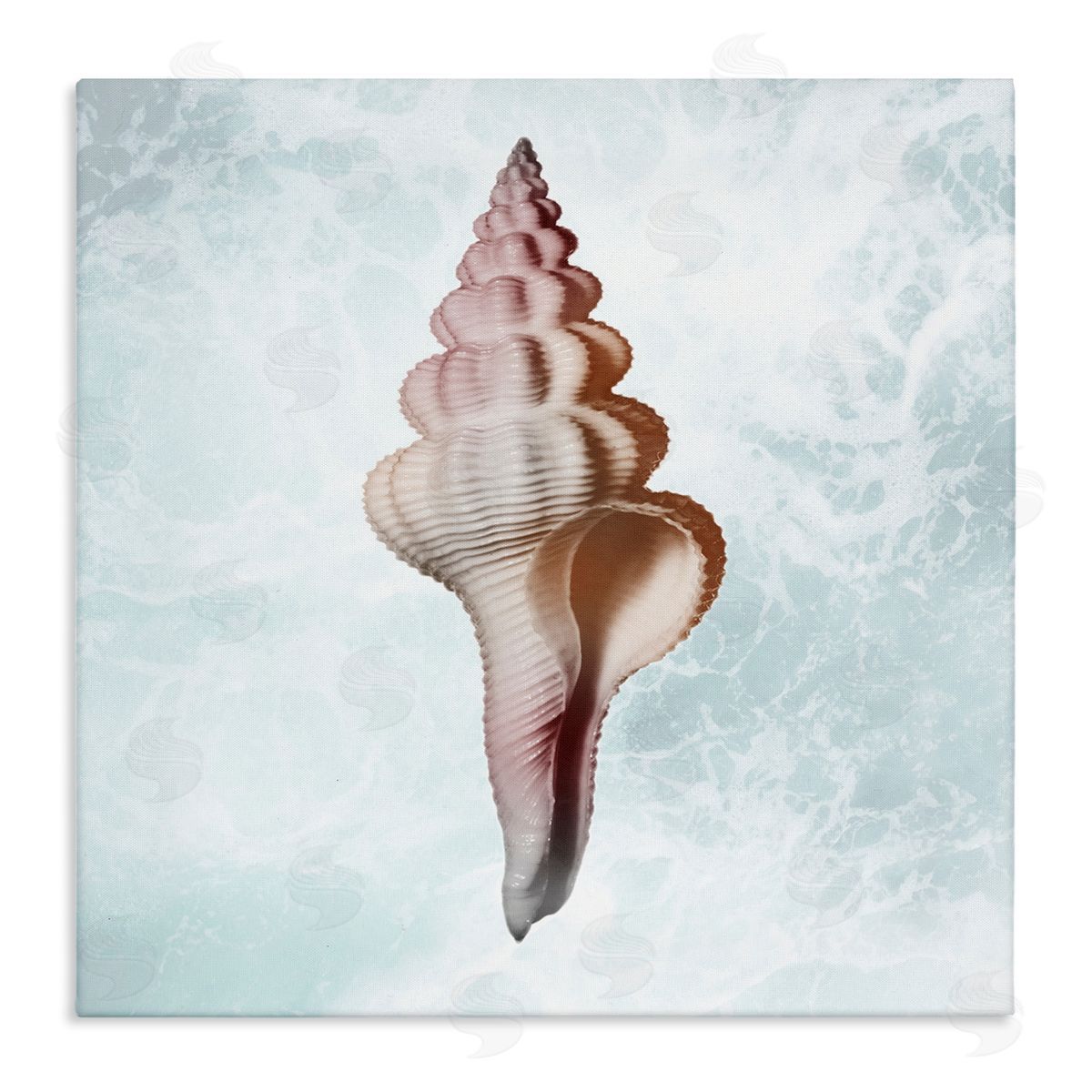 Marcus Prime Ocean Waves Conch Shell  Stretched Canvas Wall Art Print