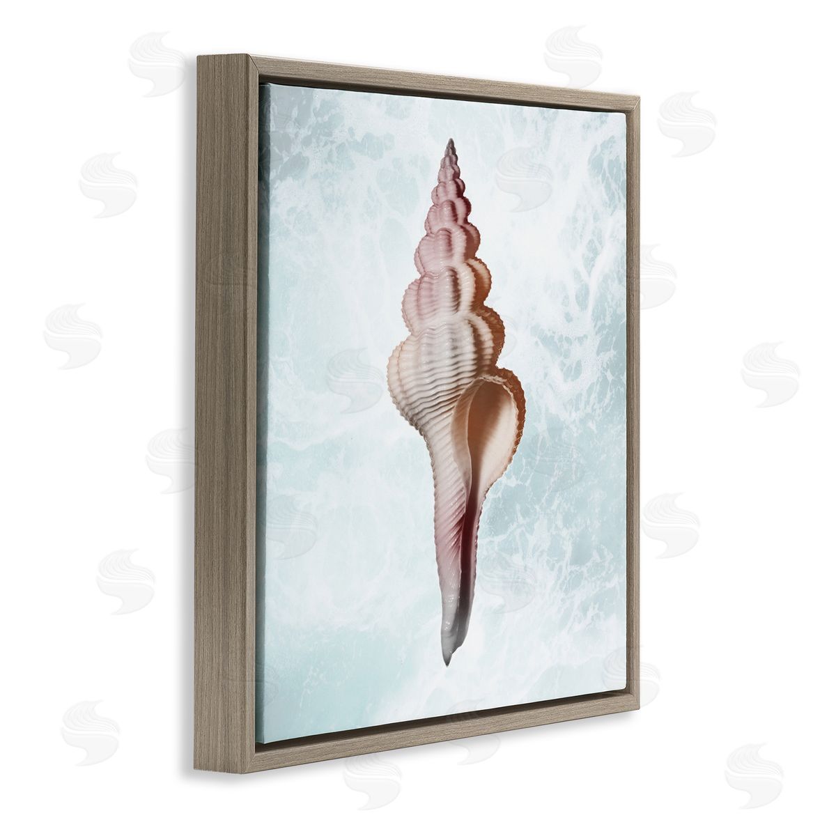 Marcus Prime Ocean Waves Conch Shell  Brown Floating Frame Canvas Wall Art Print