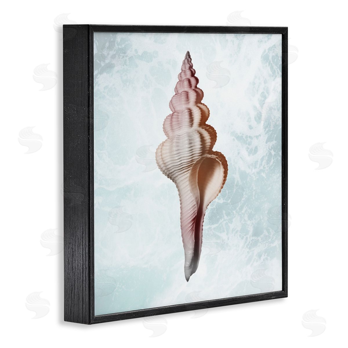 Marcus Prime Ocean Waves Conch Shell  Black Framed Glicee Wall Art Print