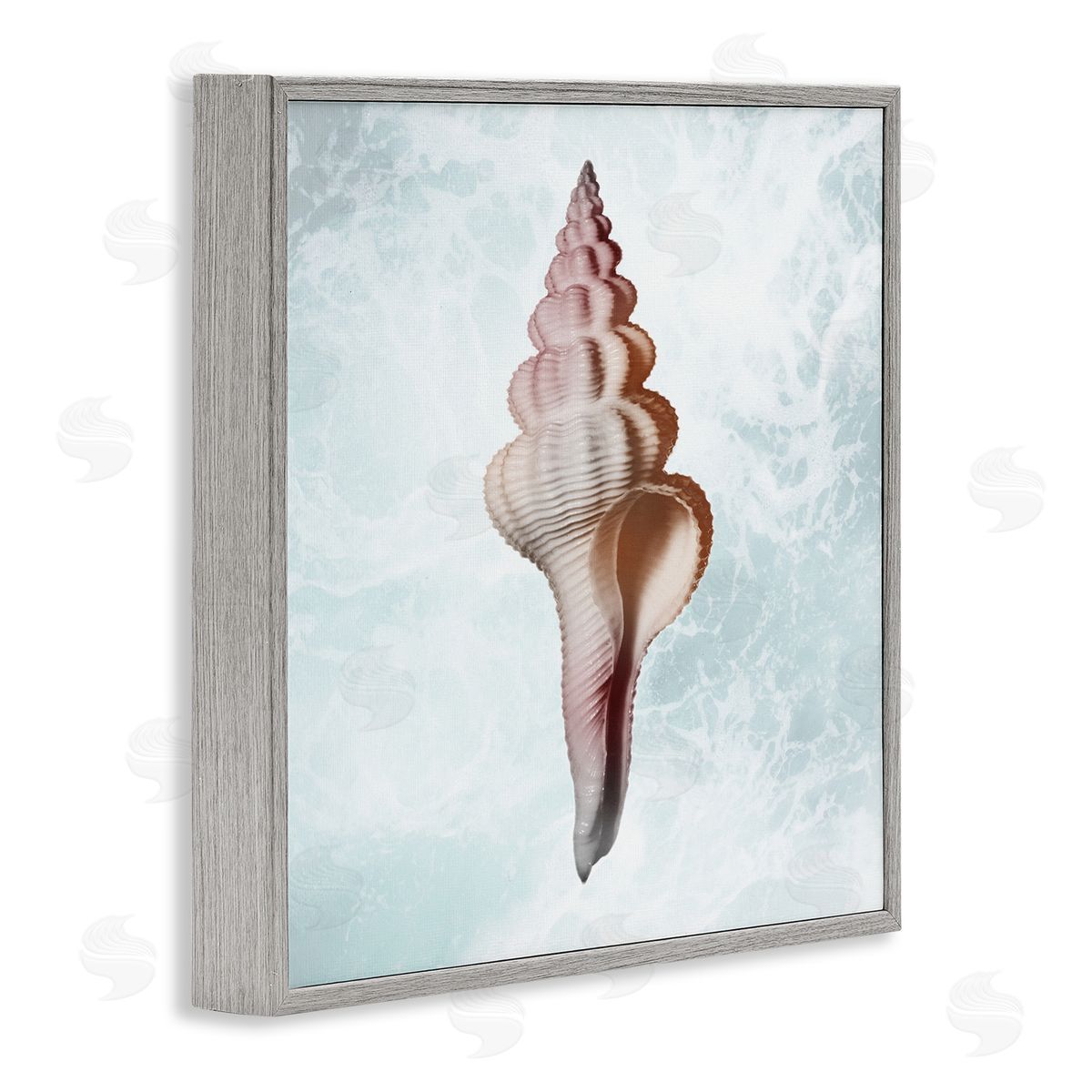 Marcus Prime Ocean Waves Conch Shell  Gray Framed Glicee Wall Art Print