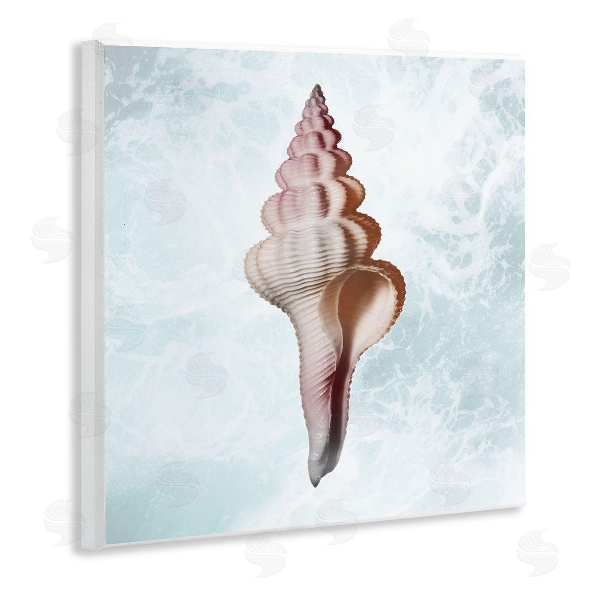 Marcus Prime Ocean Waves Conch Shell  Wooden Wall Plaque Art Print