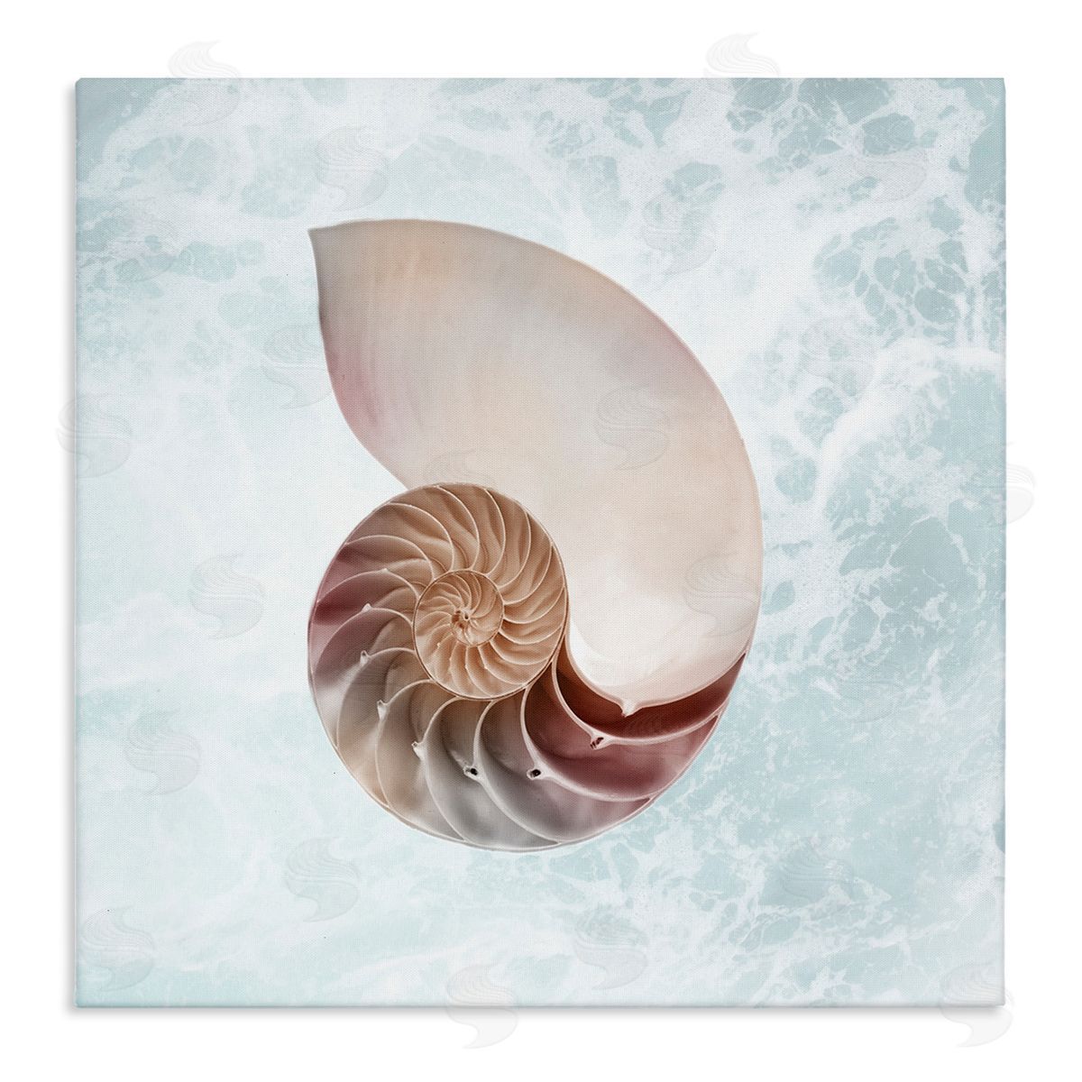 Marcus Prime Aquatic Nautilus Spiral Seashell Stretched Canvas Wall Art Print