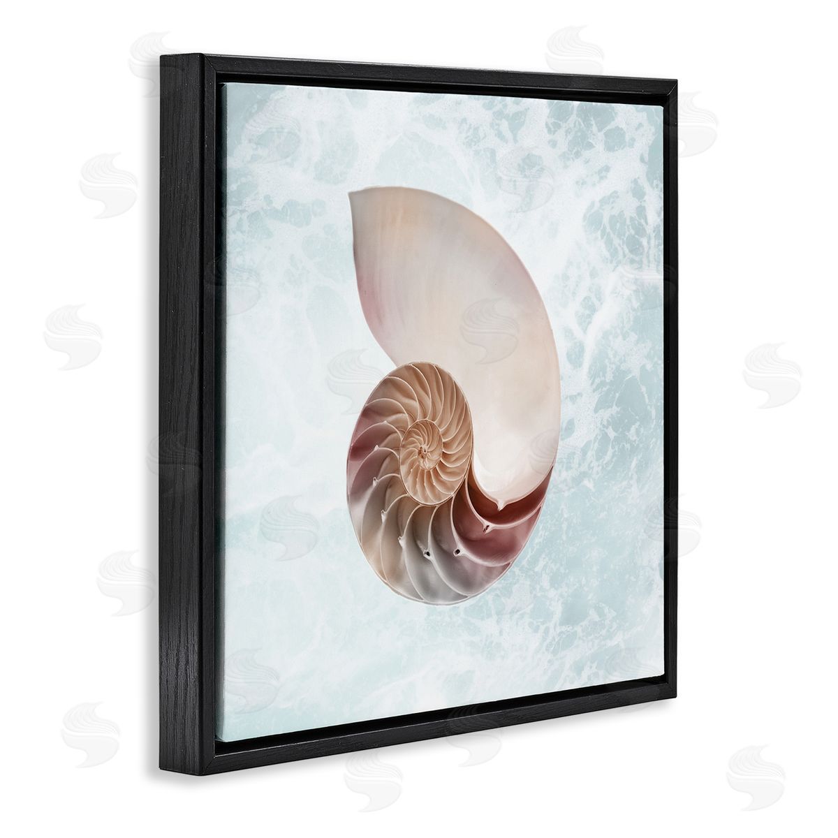 Marcus Prime Aquatic Nautilus Spiral Seashell Black Floating Frame Canvas Wall Art Print