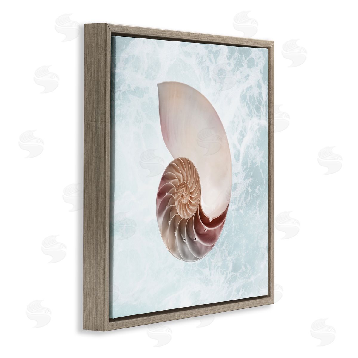 Marcus Prime Aquatic Nautilus Spiral Seashell Brown Floating Frame Canvas Wall Art Print