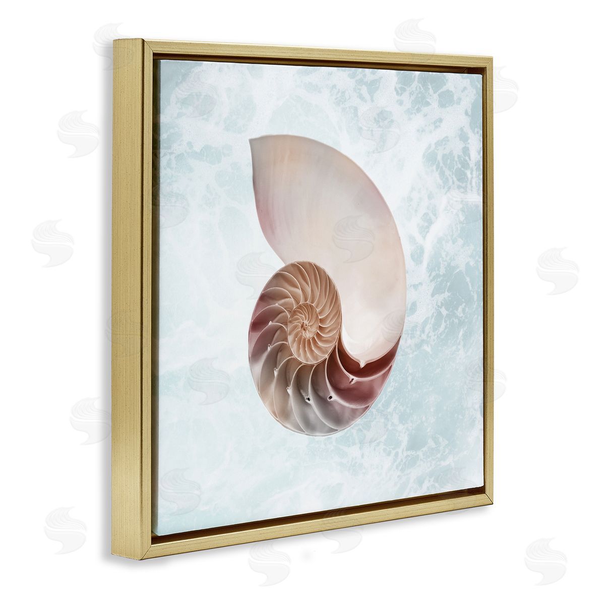 Marcus Prime Aquatic Nautilus Spiral Seashell Gold Floating Frame Canvas Wall Art Print
