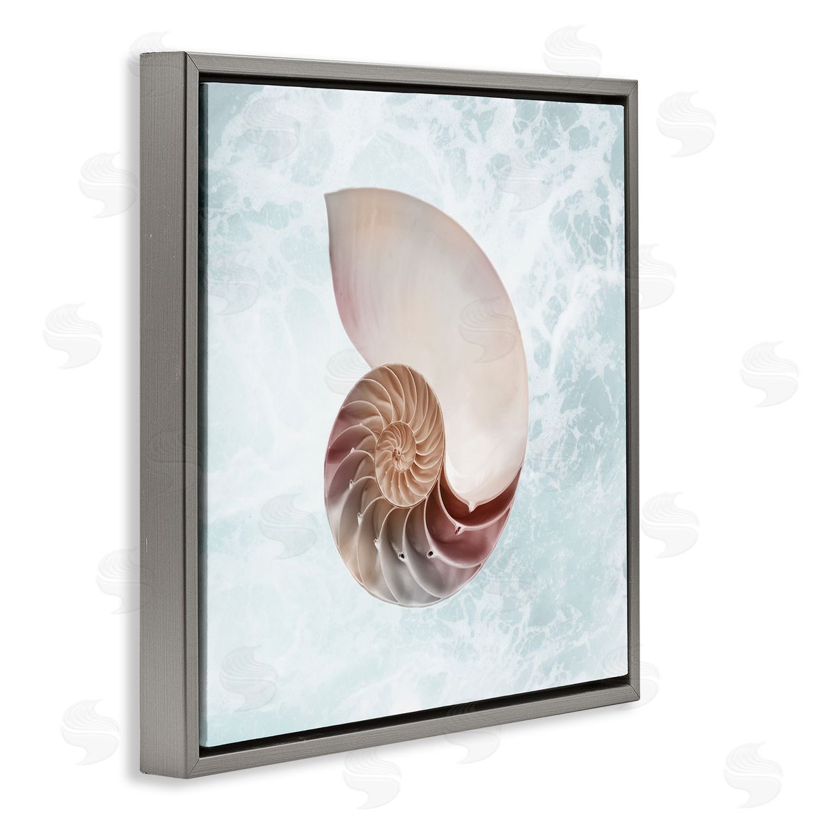 Marcus Prime Aquatic Nautilus Spiral Seashell Gray Floating Frame Canvas Wall Art Print