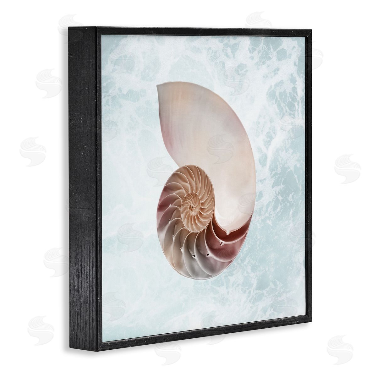 Marcus Prime Aquatic Nautilus Spiral Seashell Black Framed Glicee Wall Art Print
