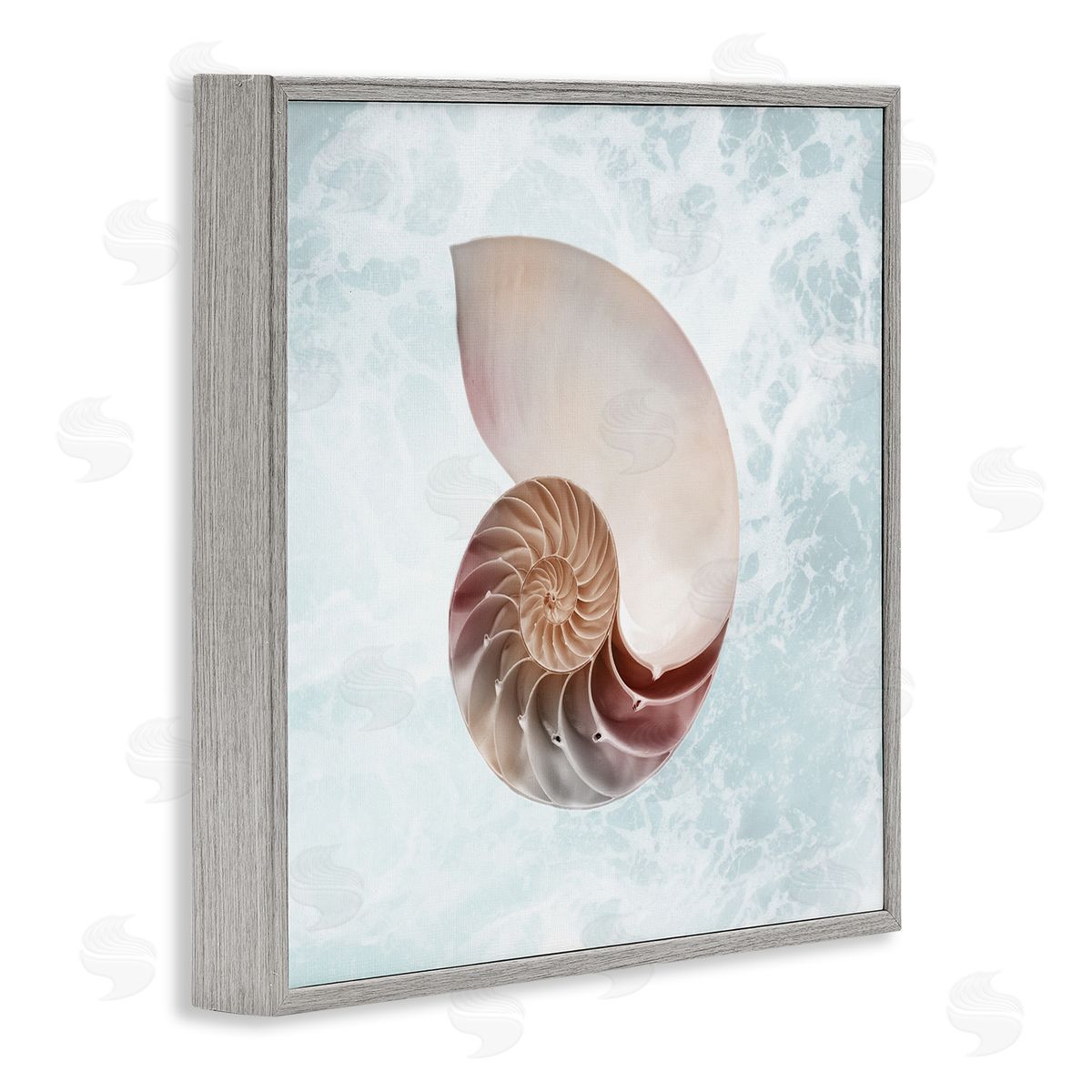Marcus Prime Aquatic Nautilus Spiral Seashell Gray Framed Glicee Wall Art Print