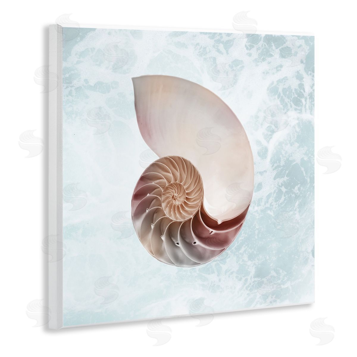 Marcus Prime Aquatic Nautilus Spiral Seashell Wooden Wall Plaque Art Print