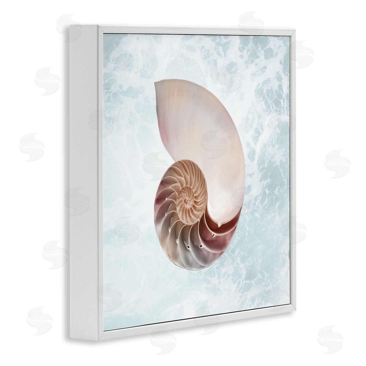 Marcus Prime Aquatic Nautilus Spiral Seashell White Framed Glicee Wall Art Print