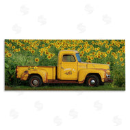 Carrie Ann Grippo-Pike | Yellow Pickup in Sunflower Field