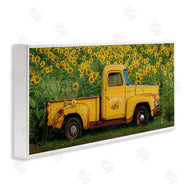 Carrie Ann Grippo-Pike | Yellow Pickup in Sunflower Field